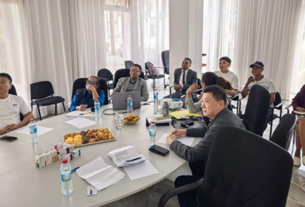 Profundizando en el mercado africano y fomentando la cooperación transfronteriza | Li Guomei, presidenta de la Cámara de Comercio China-Tanzania, organiza una reunión especial para la adquisición de equipos en Madagascar