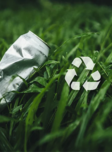 Saneamiento ambiental