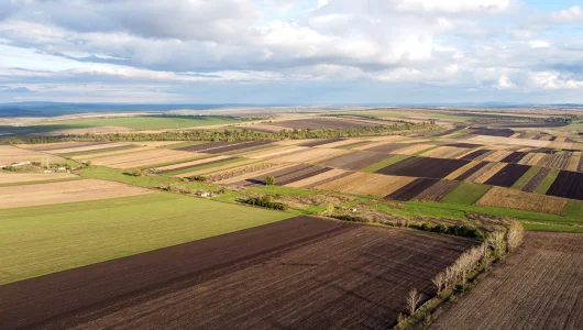 Agricultura